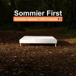 SOMMIERS TAPISSIER A LATTES – Image 4