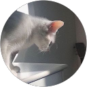 Meryam Cheriguene profile picture